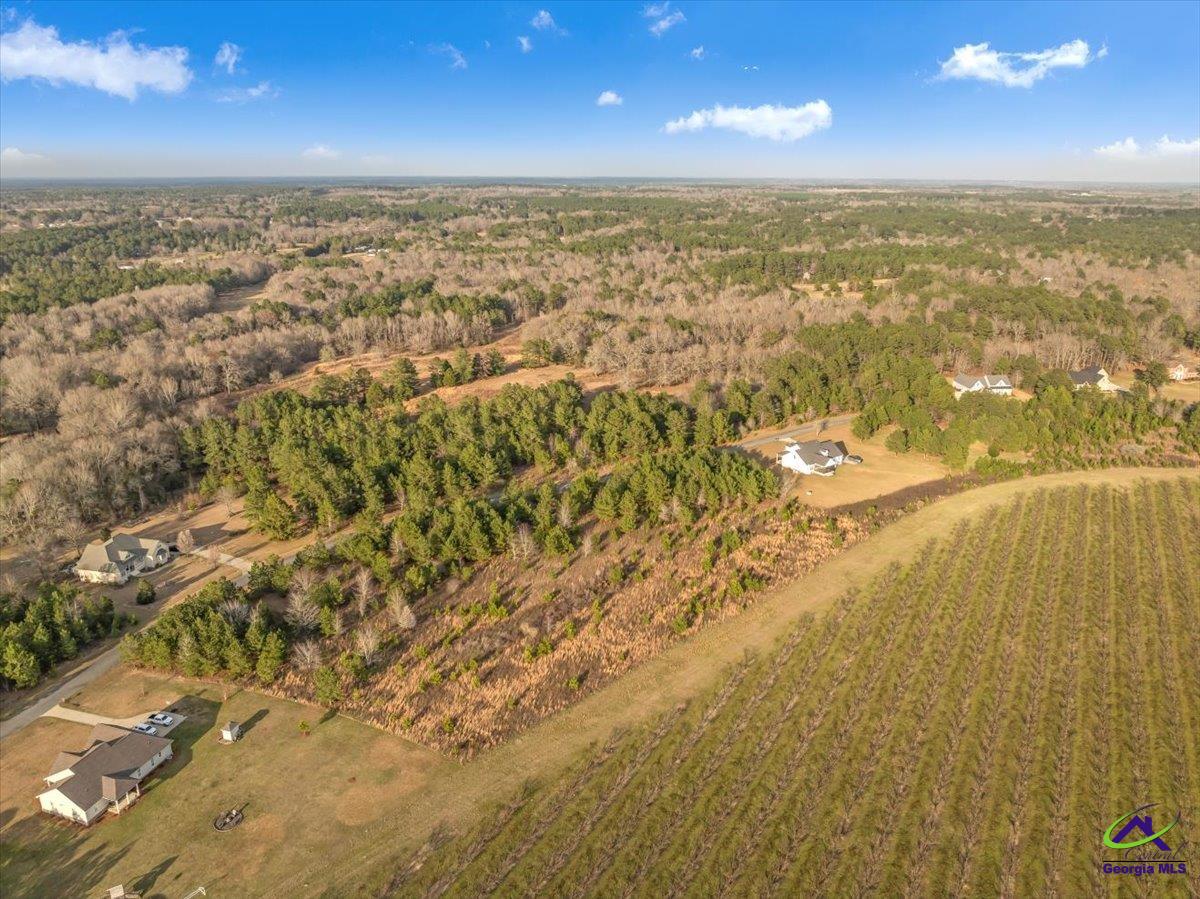 0 Woodland Trail Road Cochran, GA 31014 - Photo 12 of 20