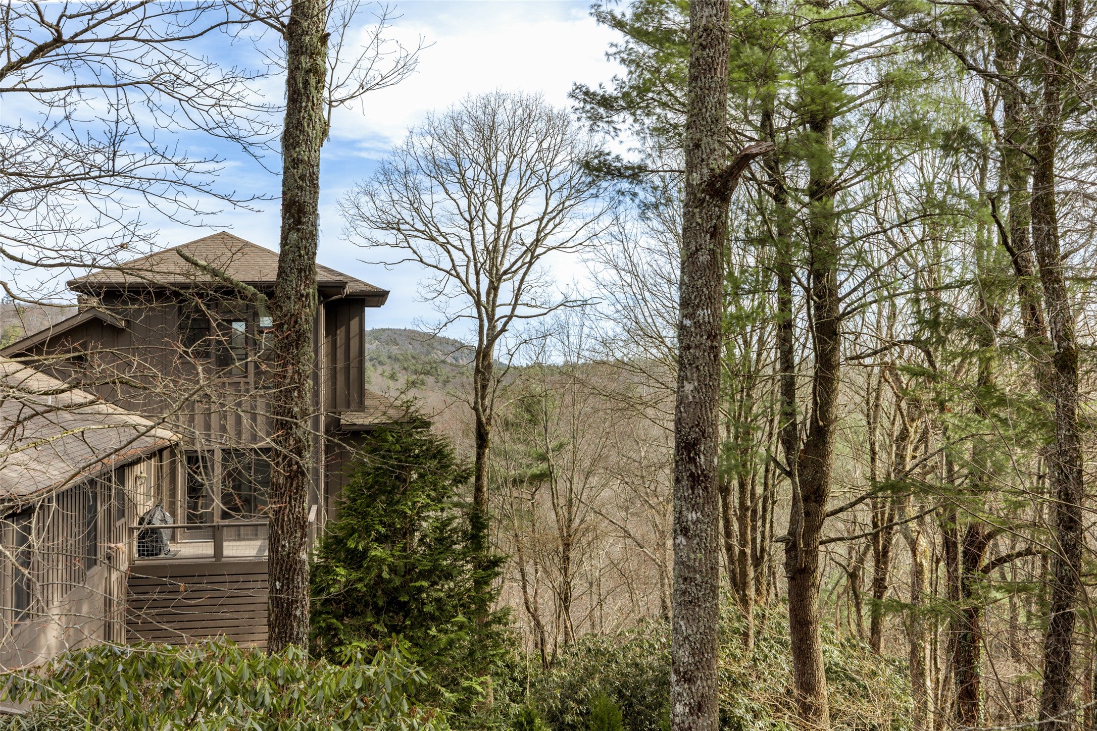 15 Bonnevista Road Highlands, NC 28741 - Photo 55 of 96 Whiteside Mountain