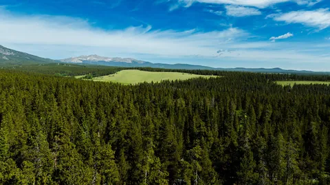 $5,750,000 | Hazelton Road, Buffalo, WY 82834