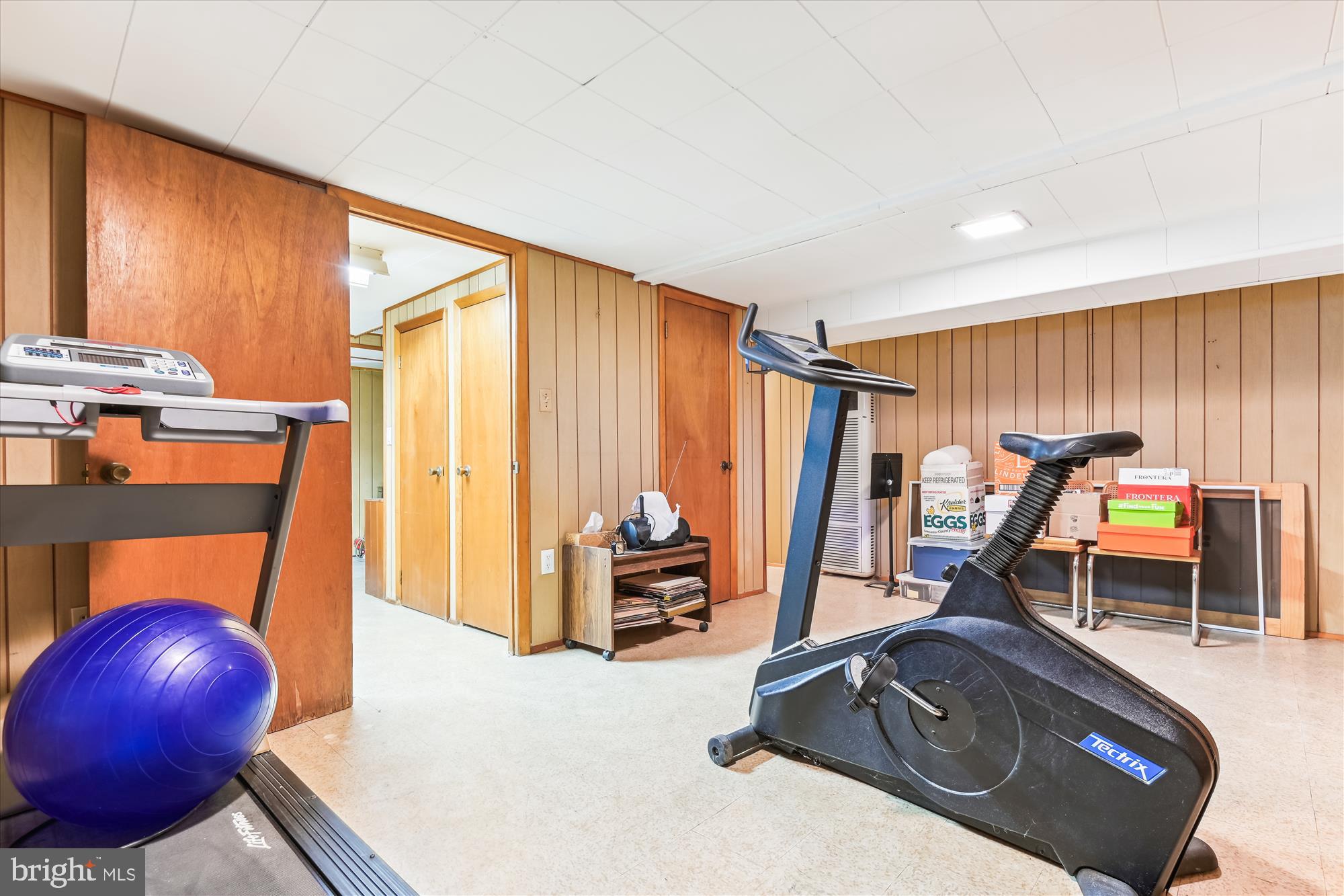 209 Cedarcroft Road Baltimore, MD 21212 - Photo 46 of 63 Recreation room