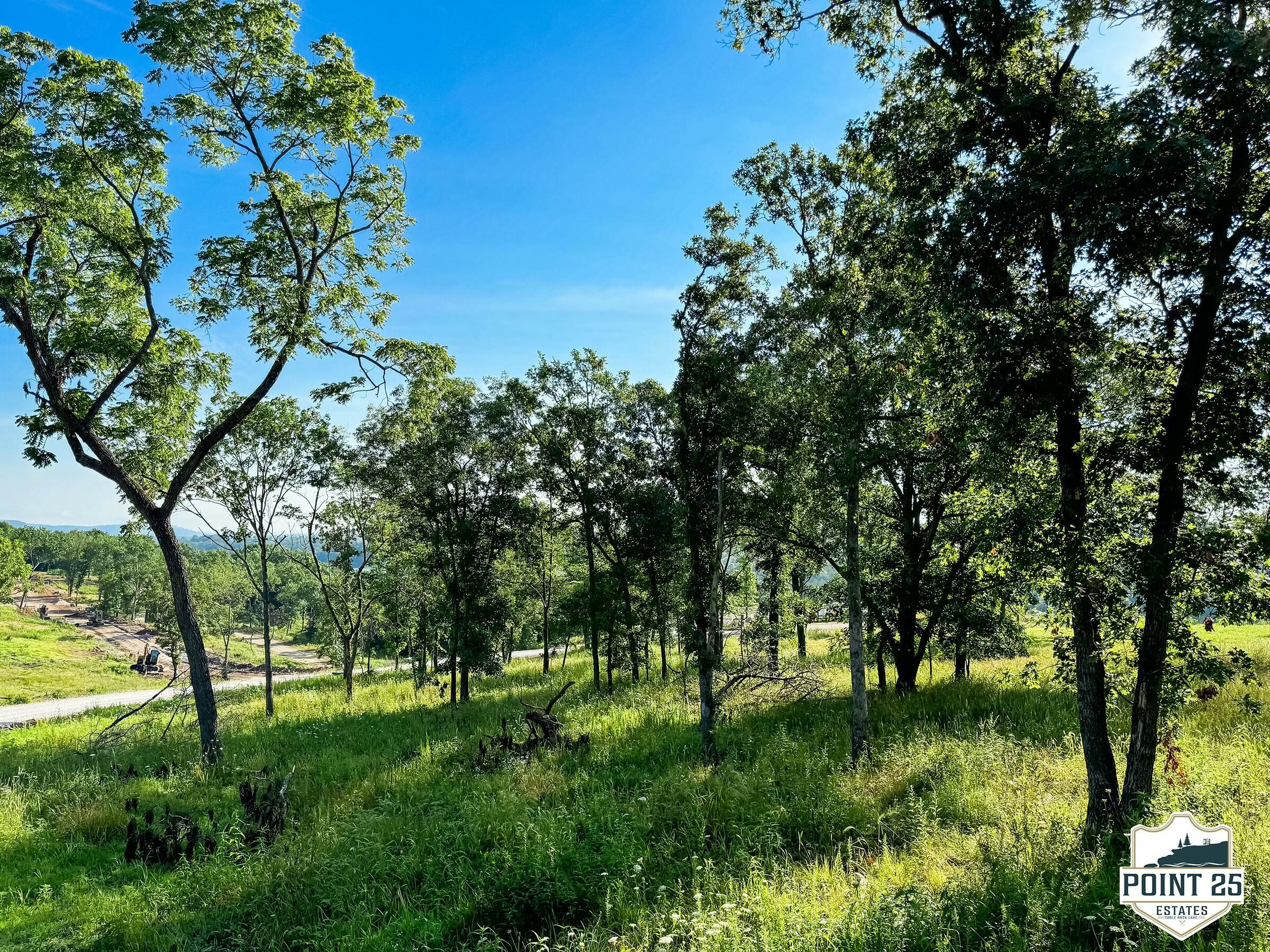 Lot 40 Boulder Ridge Eagle Rock, MO 65641 - Photo 4 of 11 tempImage5NW8VL