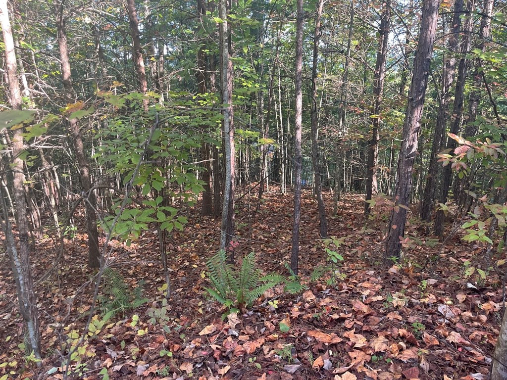 Lot 23 Trailblazer Way Murphy, NC 28906 - Photo 3 of 9