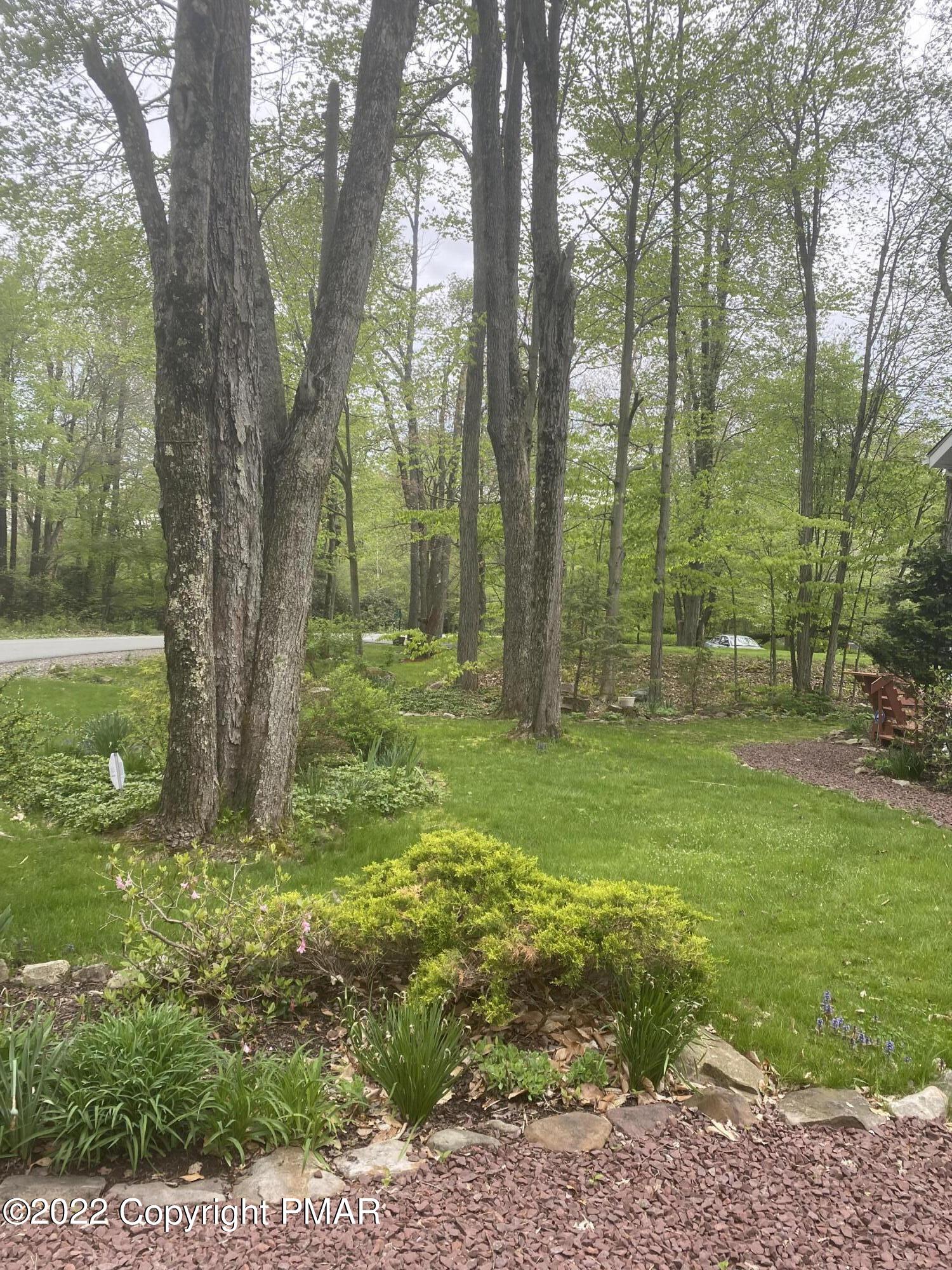 425 Lake Road Tobyhanna, PA 18466 - Photo 7 of 42 IMG_1645