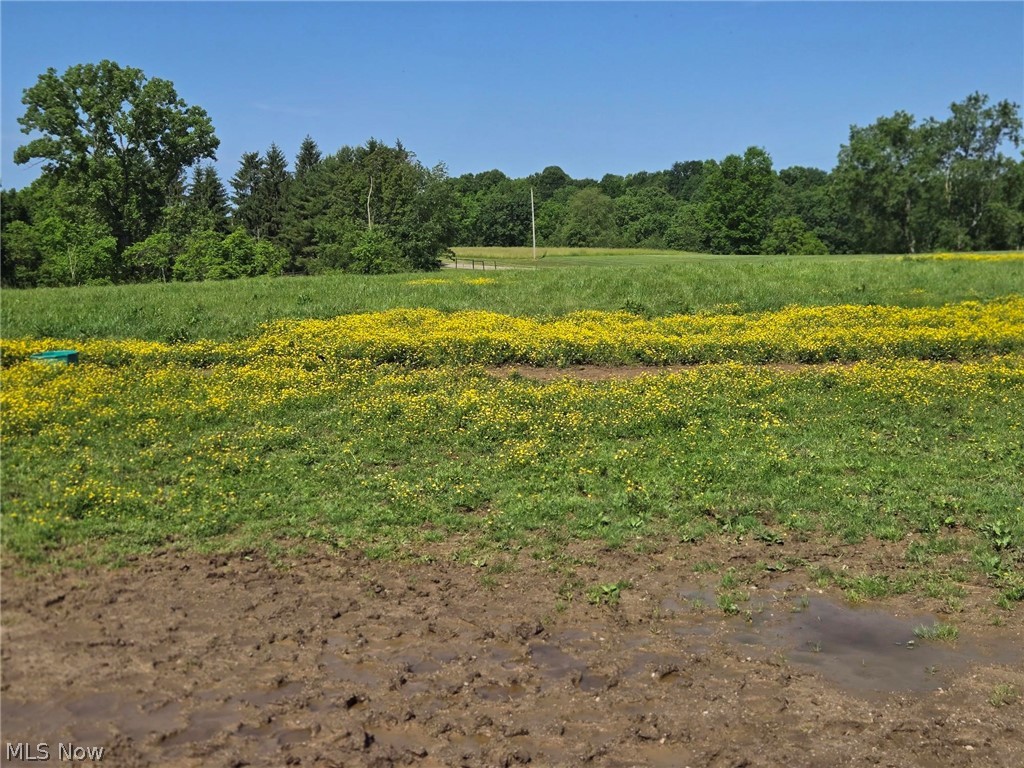 5209 Hanson Hill Road Stockport, OH 43787 - Photo 42 of 44 Pasture