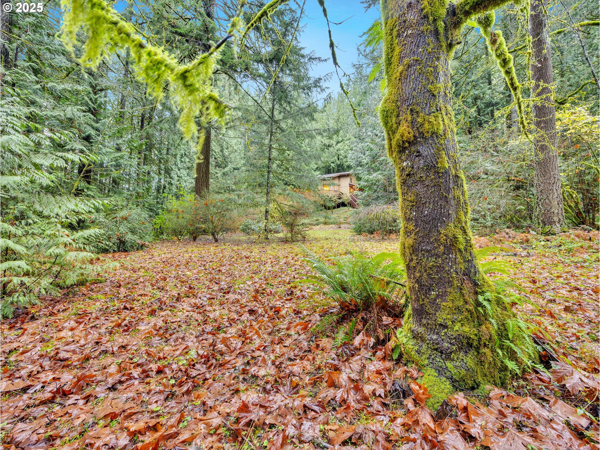 35570 Southeast Barnum Road Sandy, OR 97055 - Photo 12 of 47