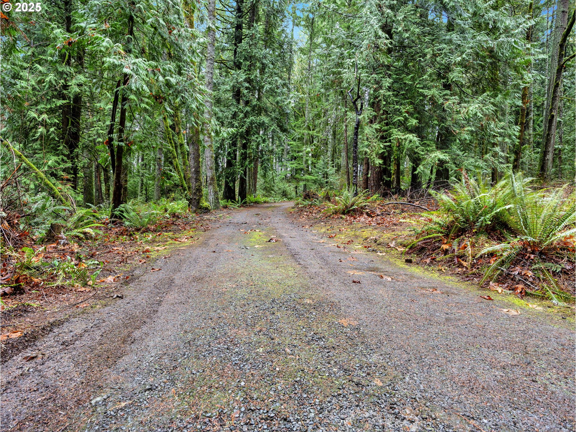 35570 Southeast Barnum Road Sandy, OR 97055 - Photo 13 of 47 Driveway