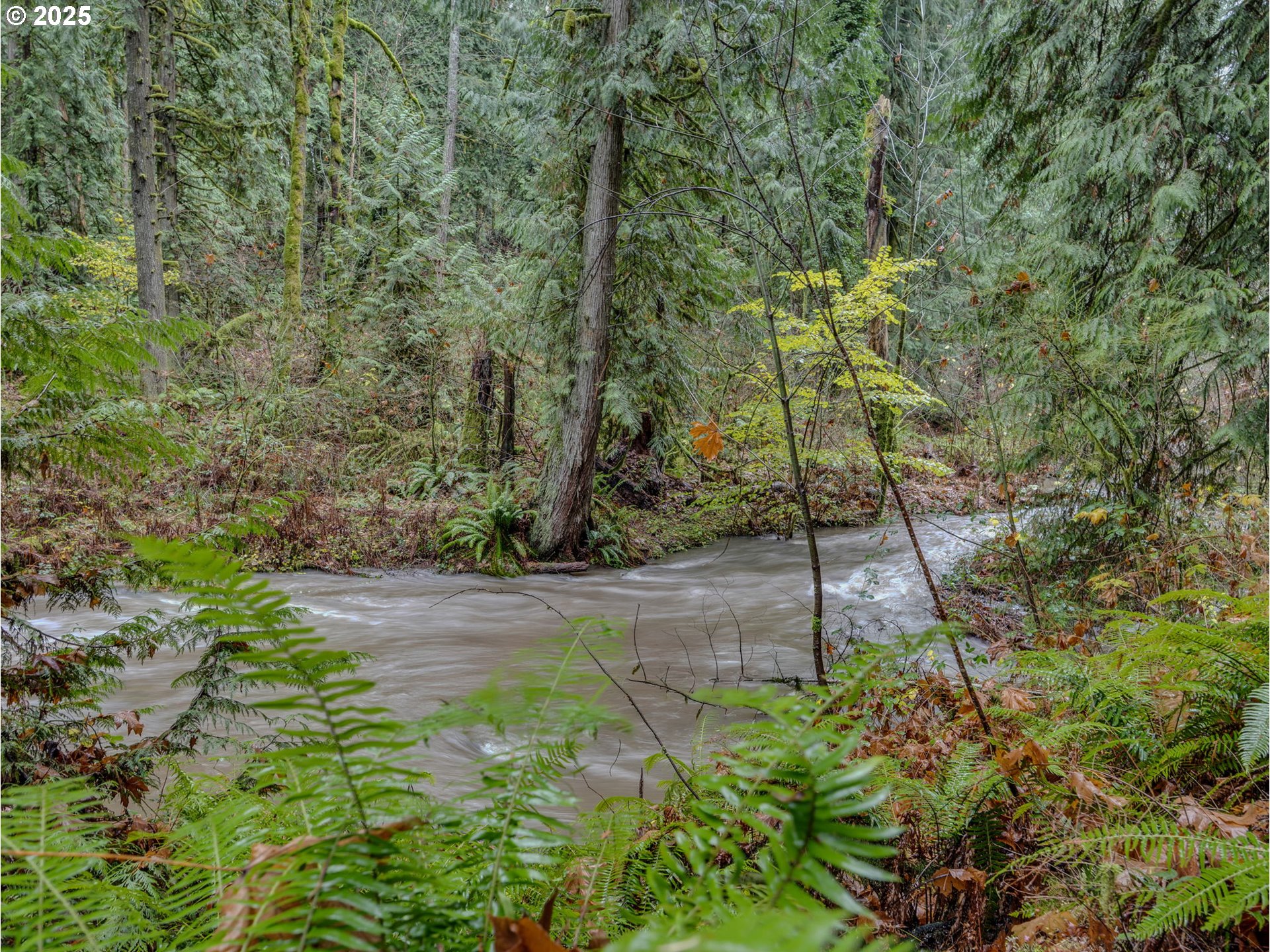 35570 Southeast Barnum Road Sandy, OR 97055 - Photo 15 of 47 Creek