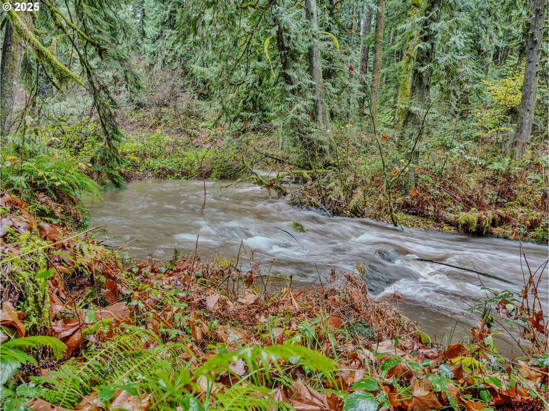 35570 Southeast Barnum Road Sandy, OR 97055 - Photo 17 of 47 Creek