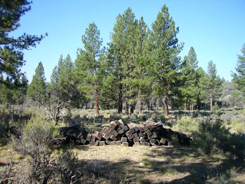 20 Acres Off Technor Robison Road Macdoel, CA 96058 - Photo 5 of 23 Gallery Image 5