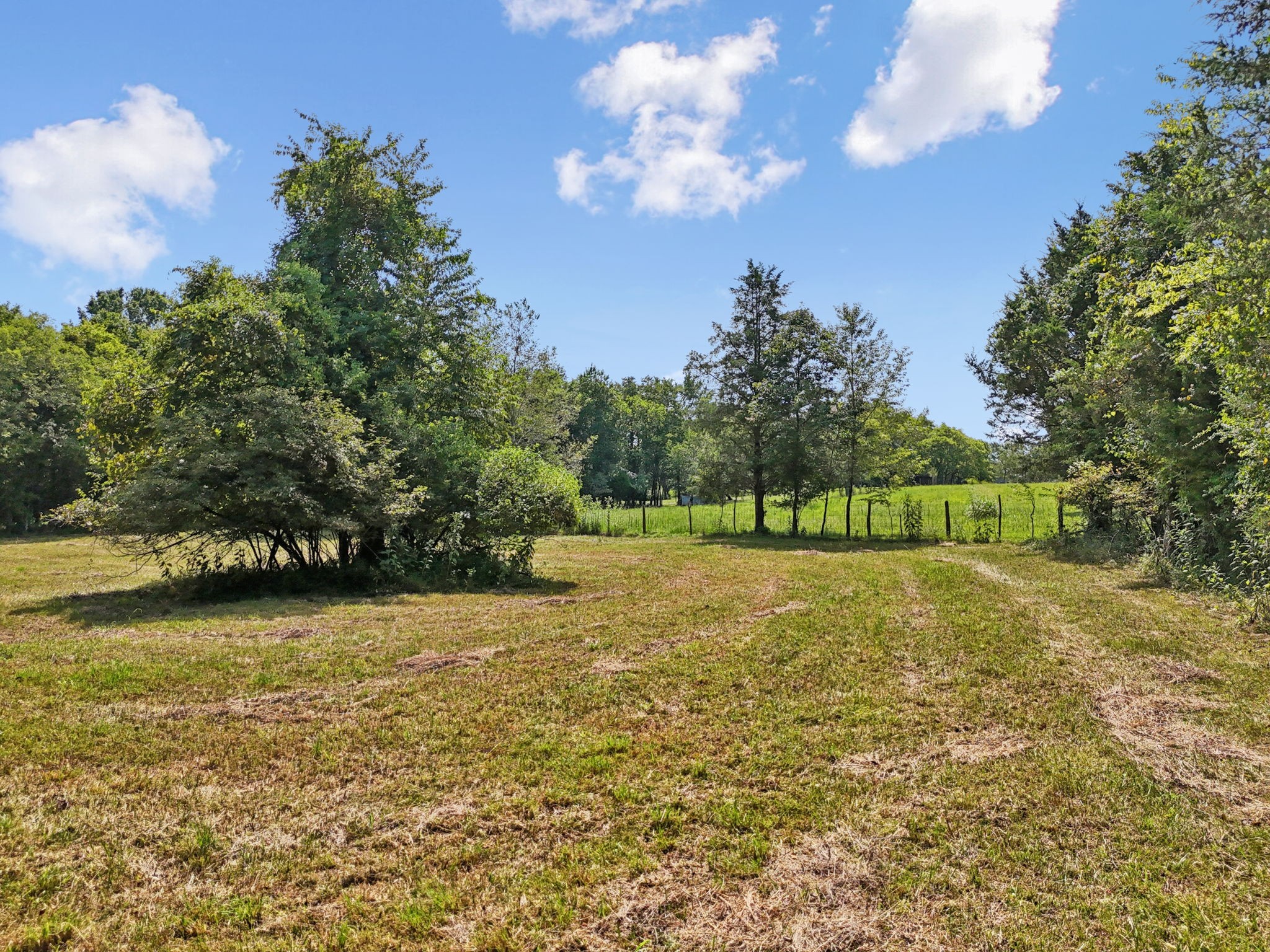 3 Lebanon Road Lebanon, TN 37087 - Photo 16 of 22 a view of a garden