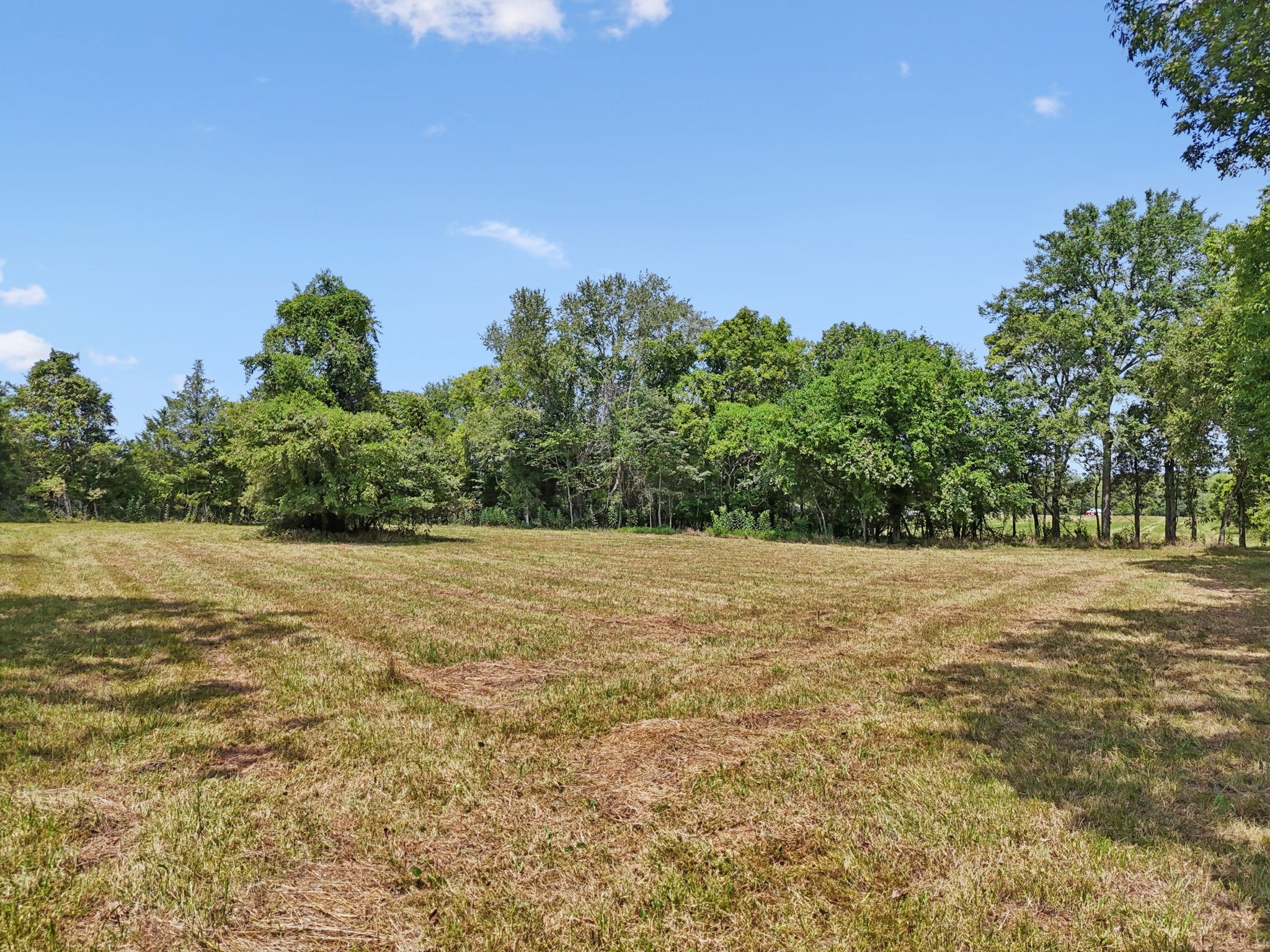 3 Lebanon Road Lebanon, TN 37087 - Photo 17 of 22 a view of a field with trees