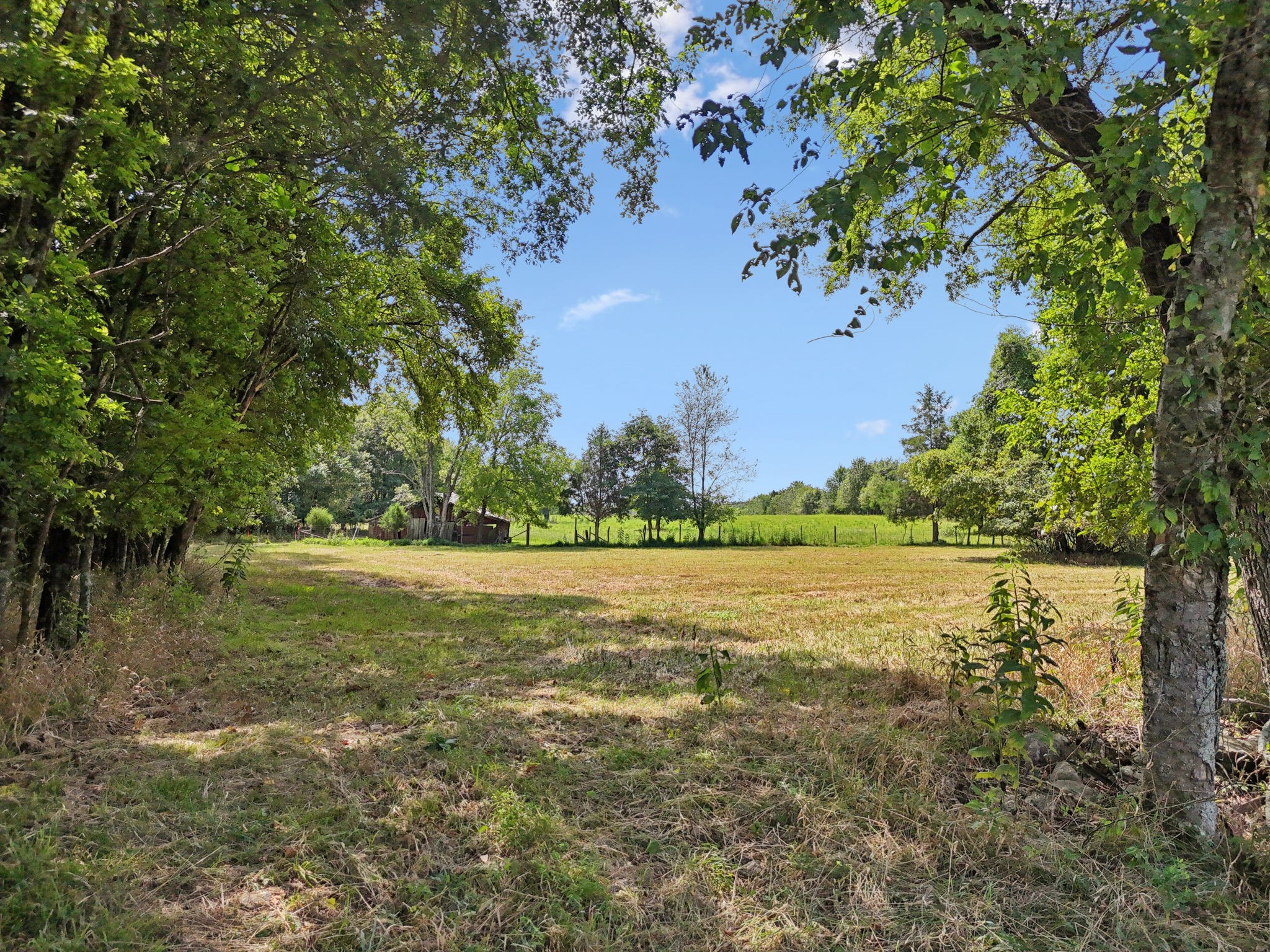 3 Lebanon Road Lebanon, TN 37087 - Photo 19 of 22 a view of outdoor space and yard