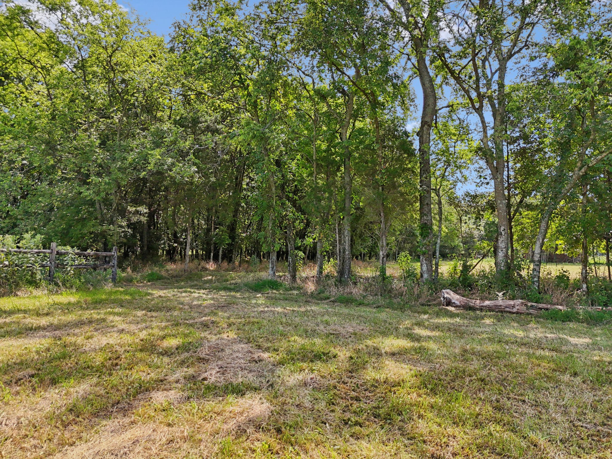 3 Lebanon Road Lebanon, TN 37087 - Photo 21 of 22 a backyard of a house with lots of green space