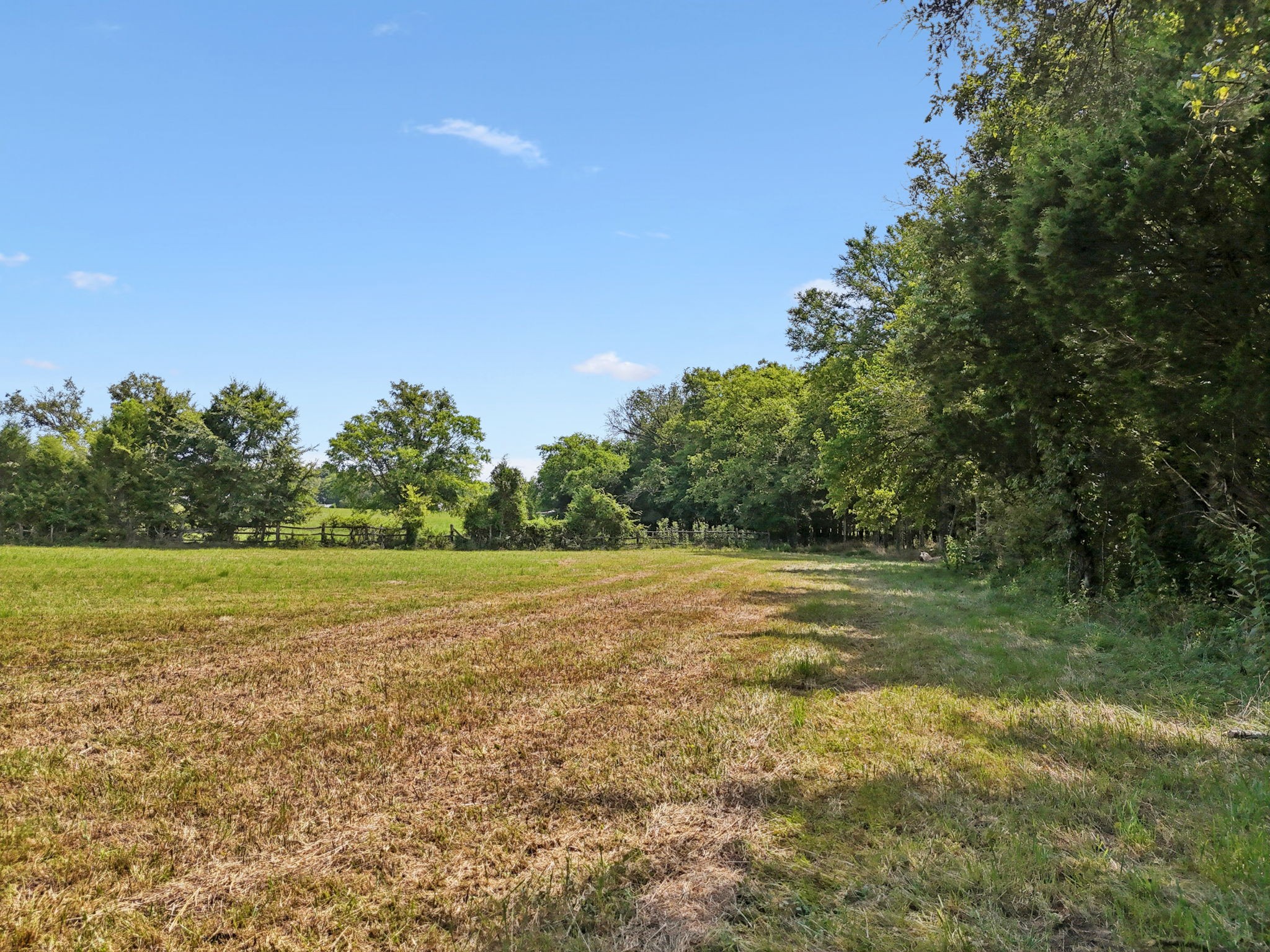 3 Lebanon Road Lebanon, TN 37087 - Photo 22 of 22 a view of a field with trees in background