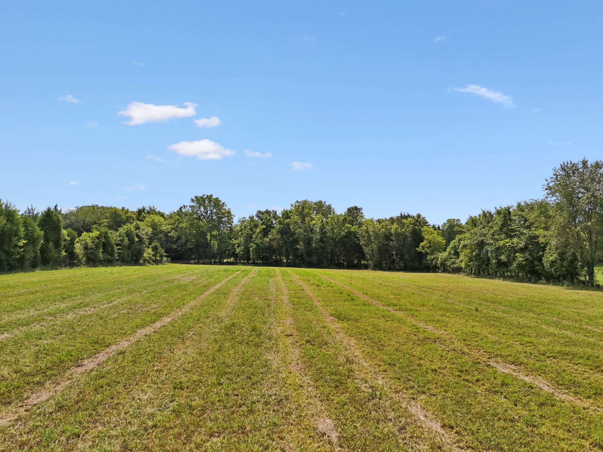 3 Lebanon Road Lebanon, TN 37087 - Photo 10 of 22 a view of an outdoor space and a yard