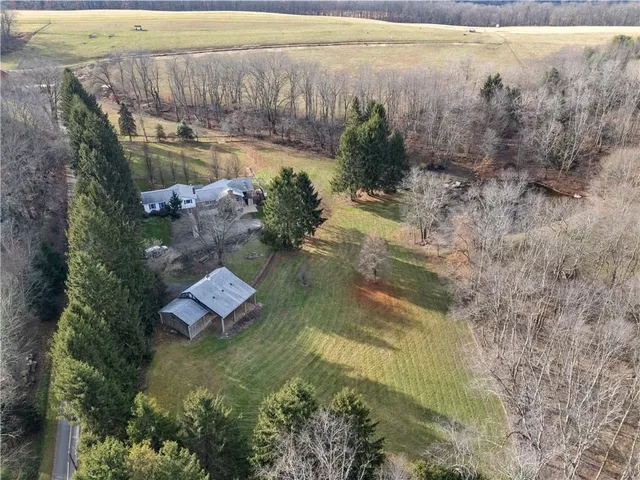an aerial view of a house with a yard and a large tree