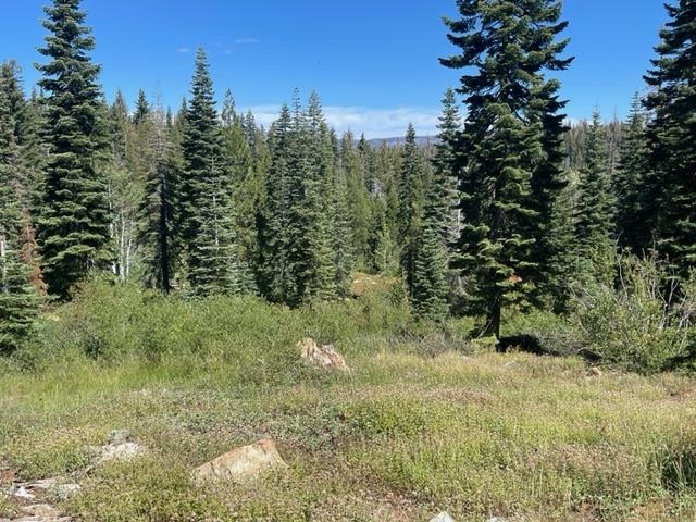0 Big Creek Road Quincy, CA 95971 - Photo 3 of 19