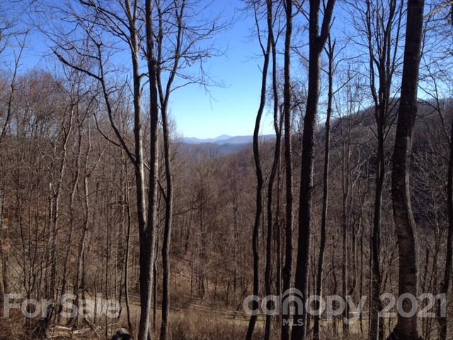 240 Prosperity Ridge Waynesville, NC 28785 - Photo 24 of 24 Gallery Image 24