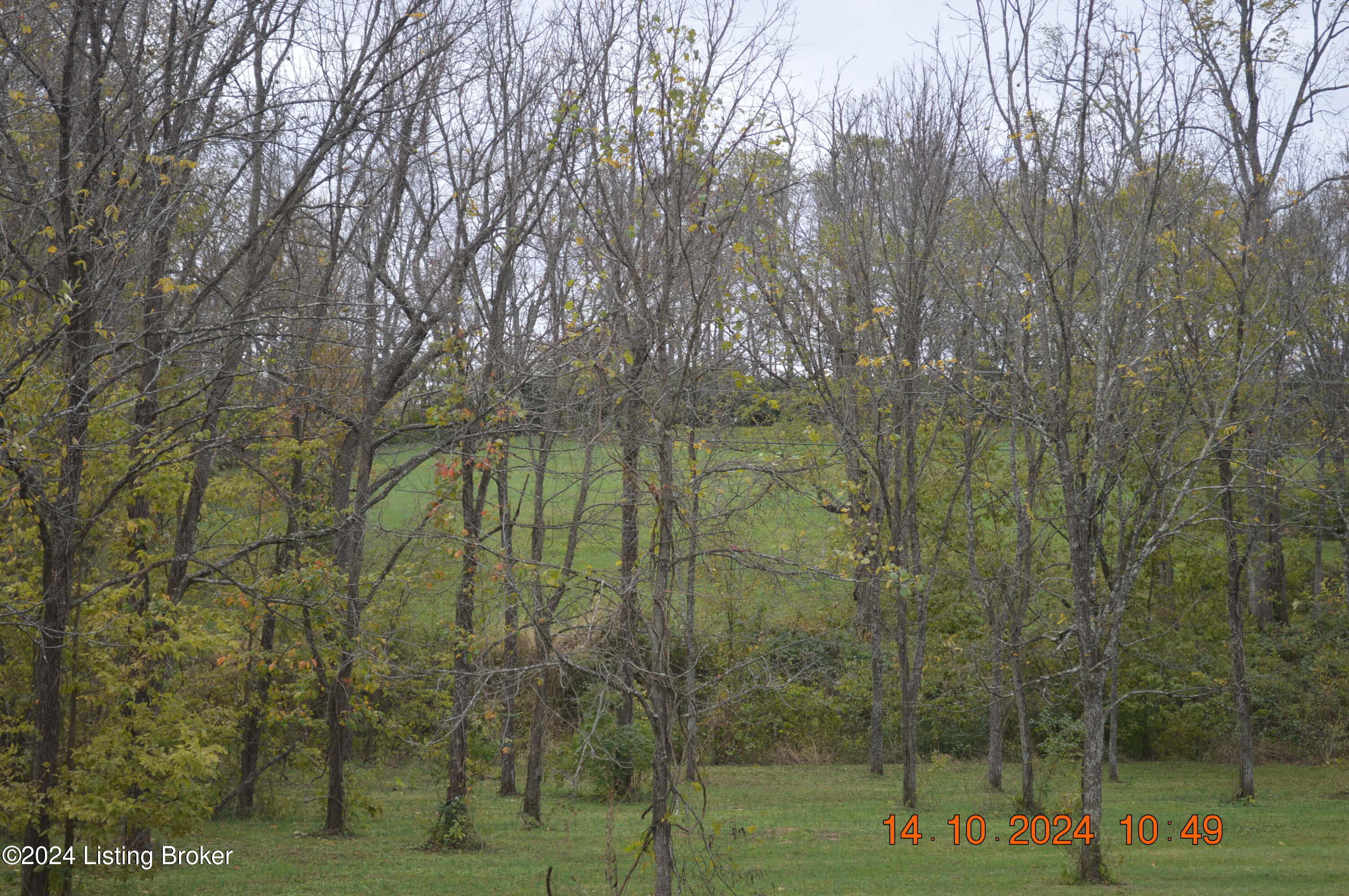 2461 Lagrange Road New Castle, KY 40050 - Photo 4 of 10 DSC_0004