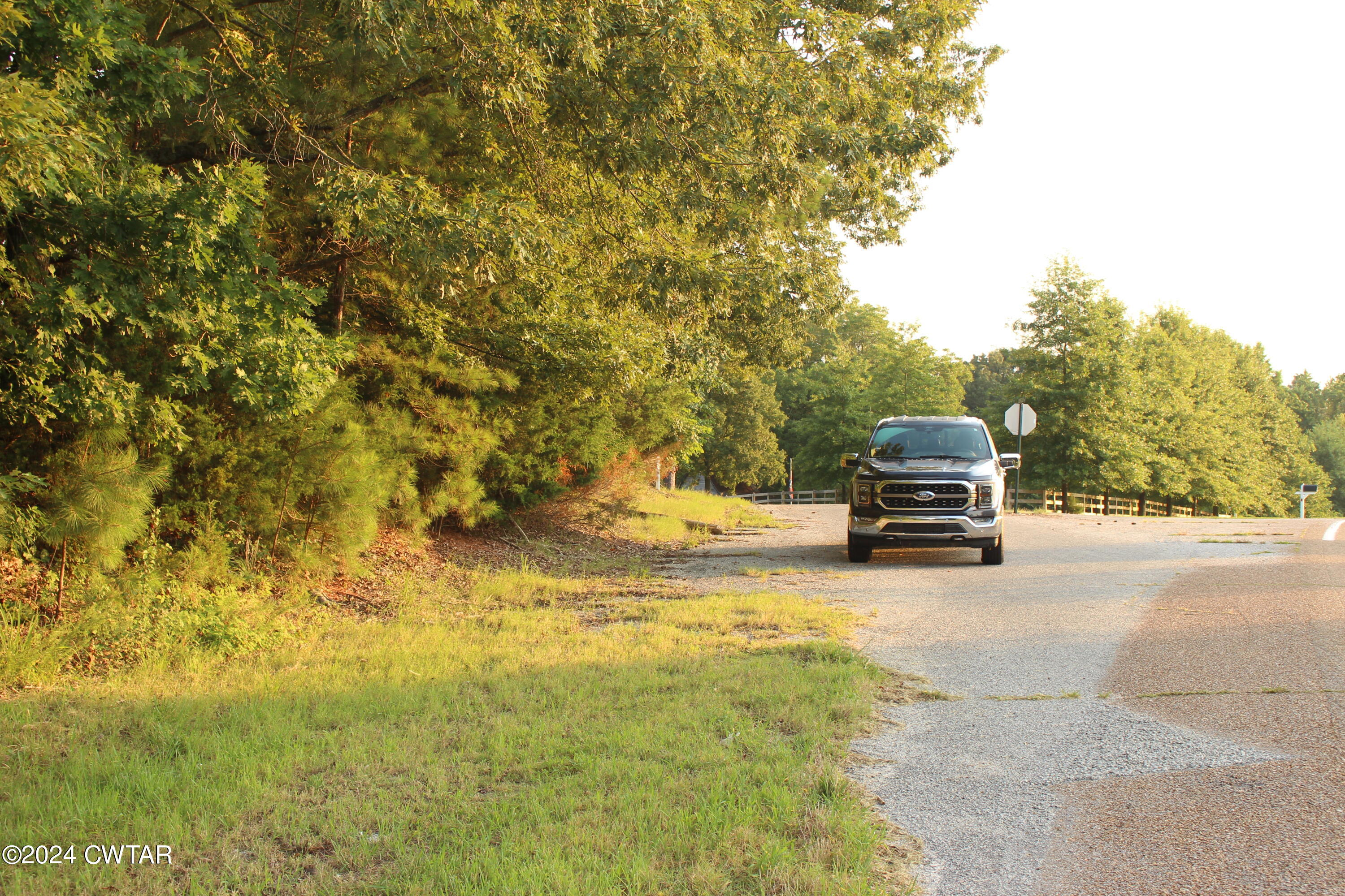 3 138th Highway Mercer, TN 38392 - Photo 12 of 16 a view of car parked in front of yellow house with trees