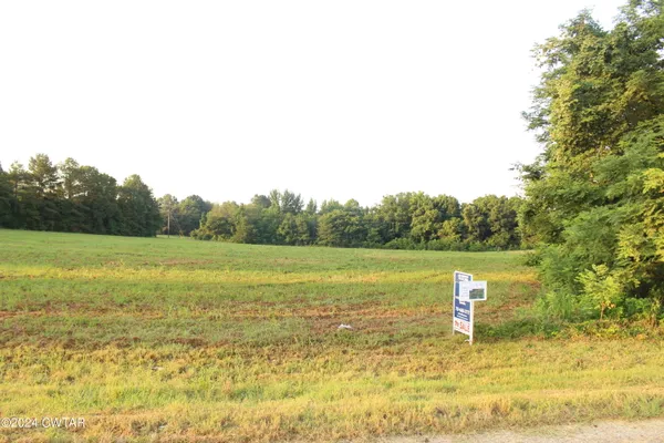 a view of a grassy area