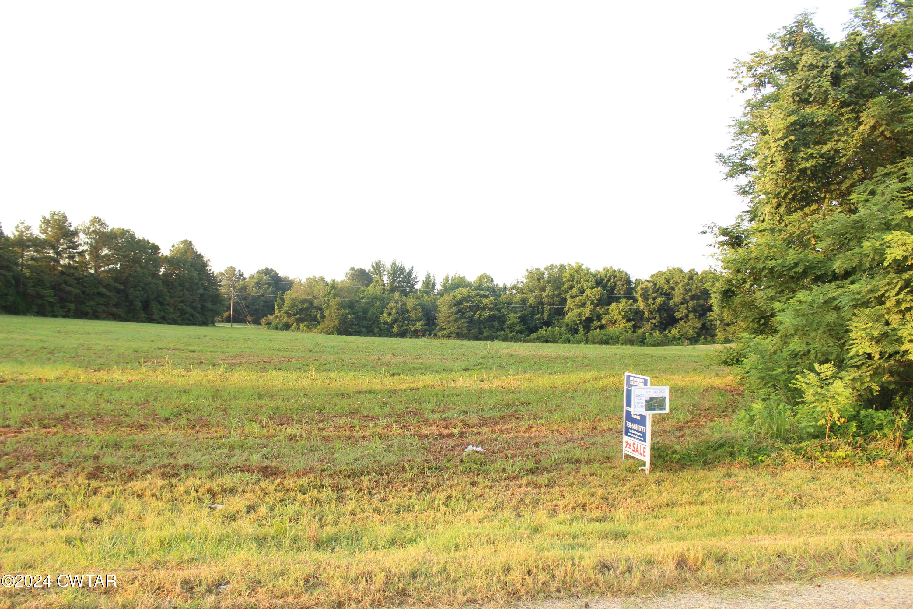 3 138th Highway Mercer, TN 38392 - Photo 13 of 16 a view of a lake from a yard