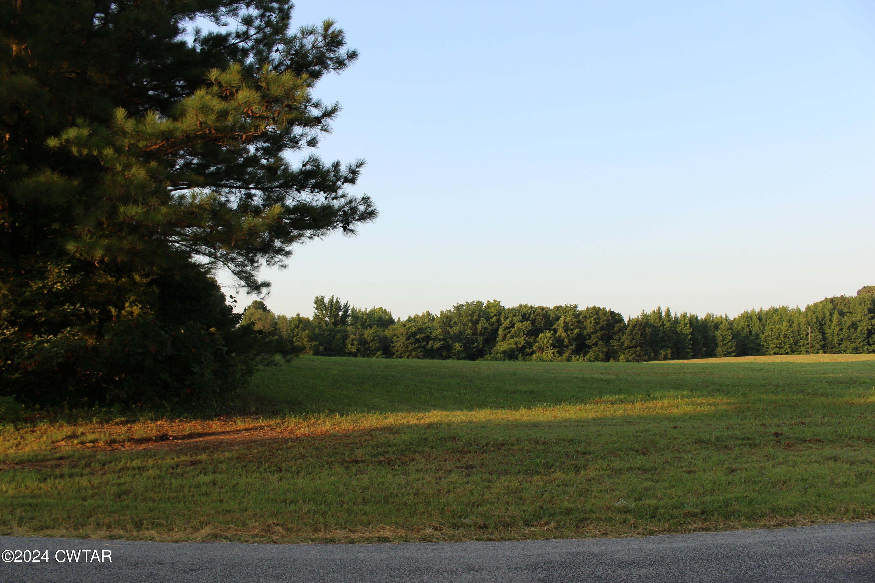 3 138th Highway Mercer, TN 38392 - Photo 14 of 16 a view of a grassy area