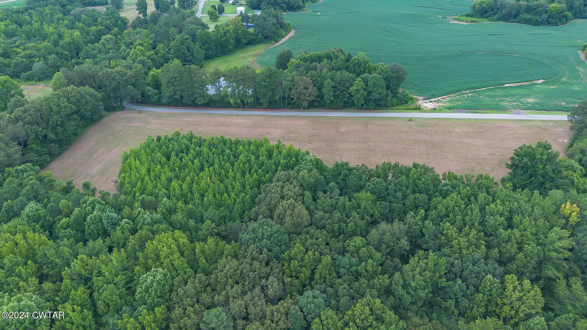 3 138th Highway Mercer, TN 38392 - Photo 6 of 16 a view of an outdoor space with a lake view