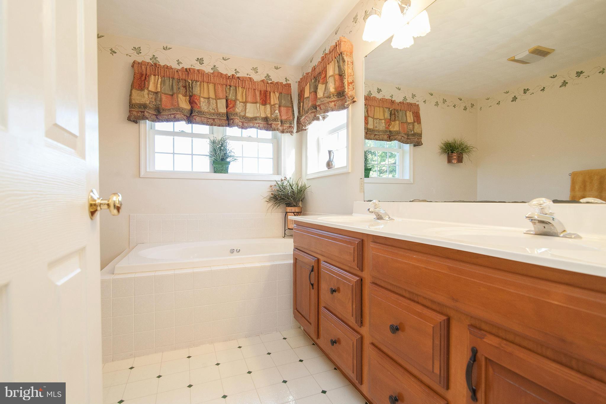 4131 Back Woods Road Westminster, MD 21158 - Photo 14 of 30 Relaxing Jetted Tub