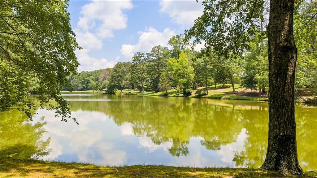 0 Capps Ferry Road Palmetto, GA 30268 - Photo 67 of 71