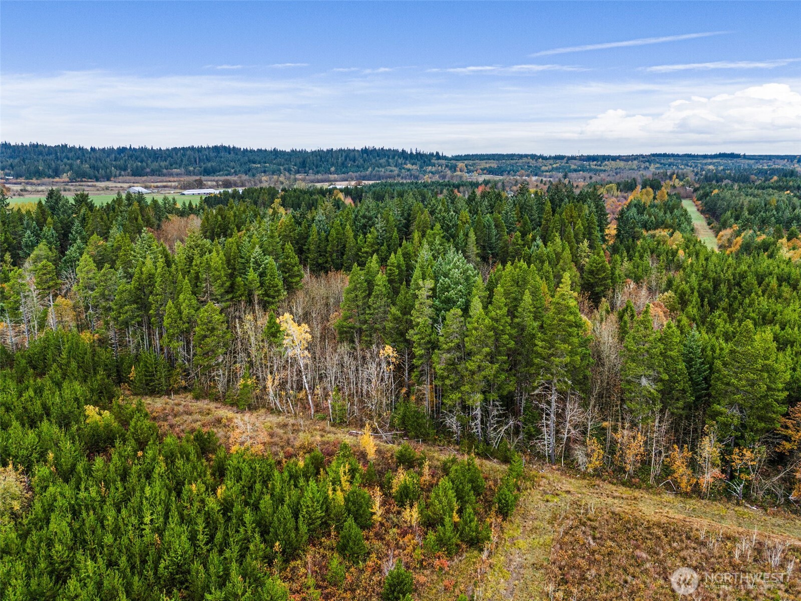 X Oyler Road Toledo, WA 98591 - Photo 17 of 24