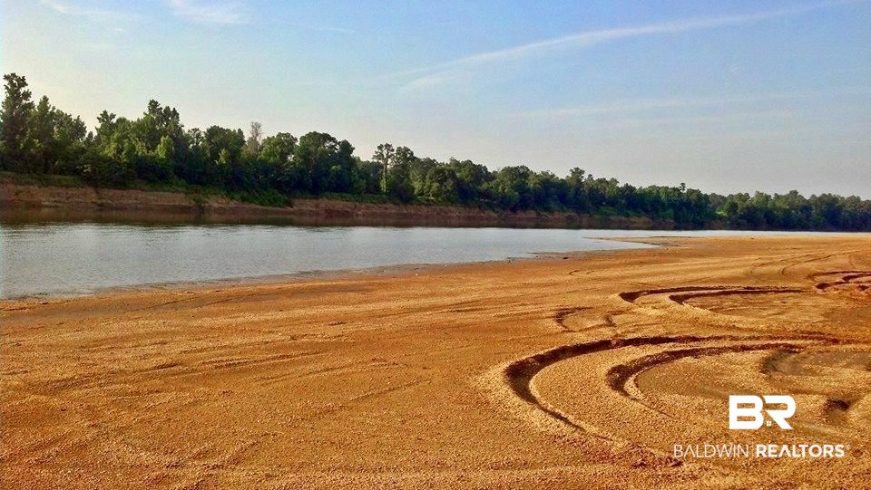 0 Country Road Uriah, AL 36480 - Photo 21 of 49