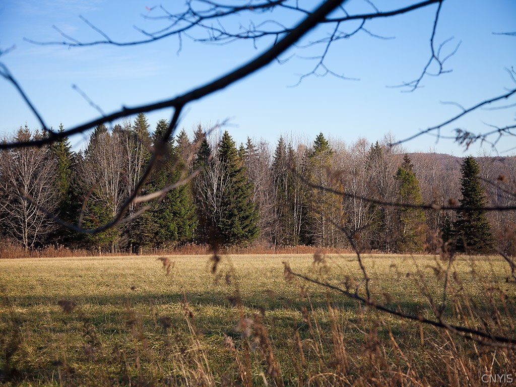 Lot 3 Hall Road Erieville, NY 13061 - Photo 1 of 1 Gallery Image 1