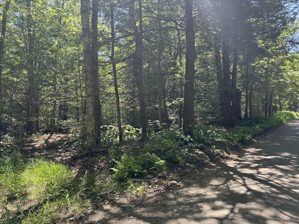 0 Old Stage Road Ashfield, MA 01330 - Photo 6 of 7