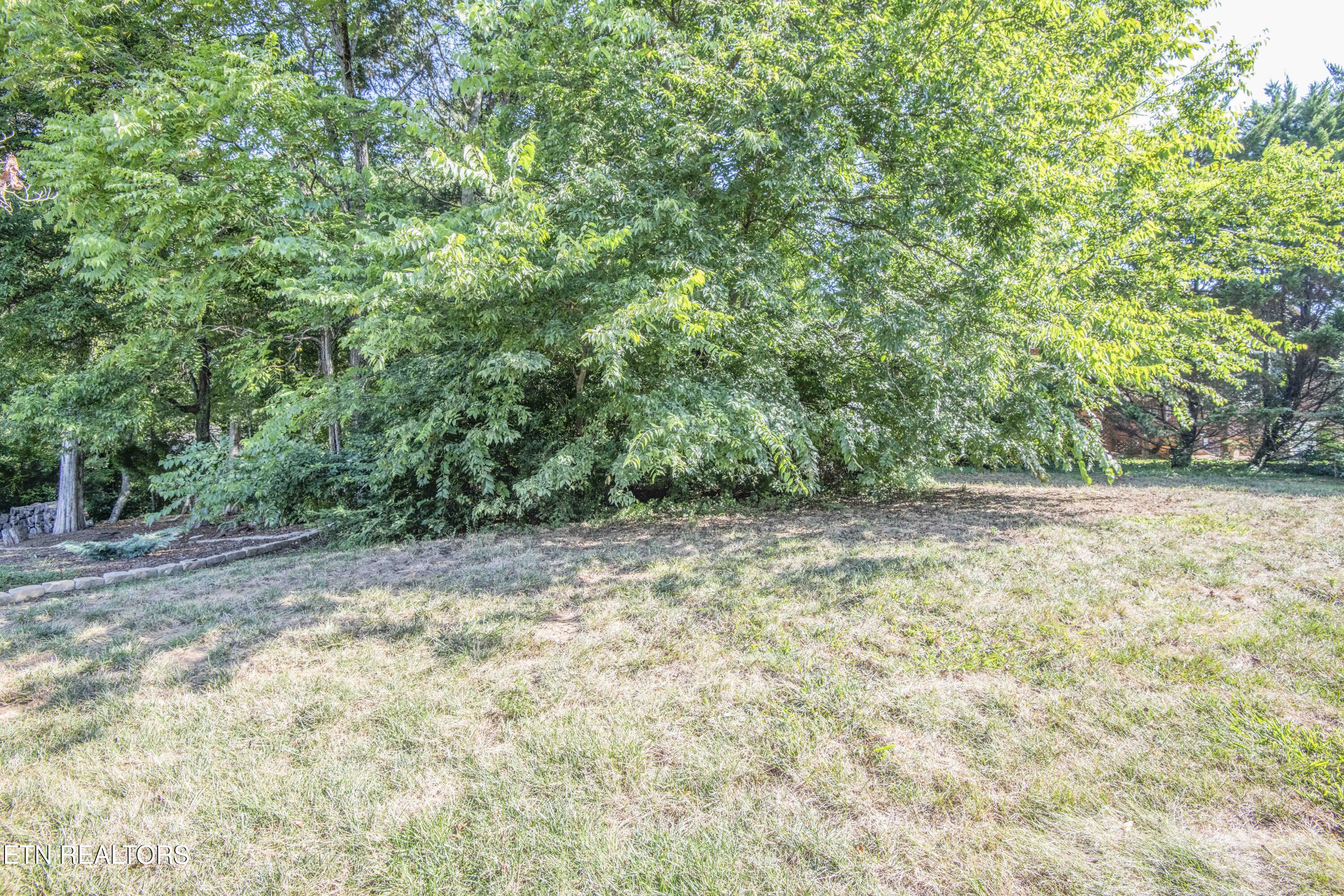 119 Waterston Way Clinton, TN 37716 - Photo 10 of 38 Back yard