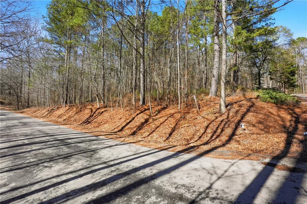 0 Pickett Bridge Road Covington, GA 30016 - Photo 11 of 22