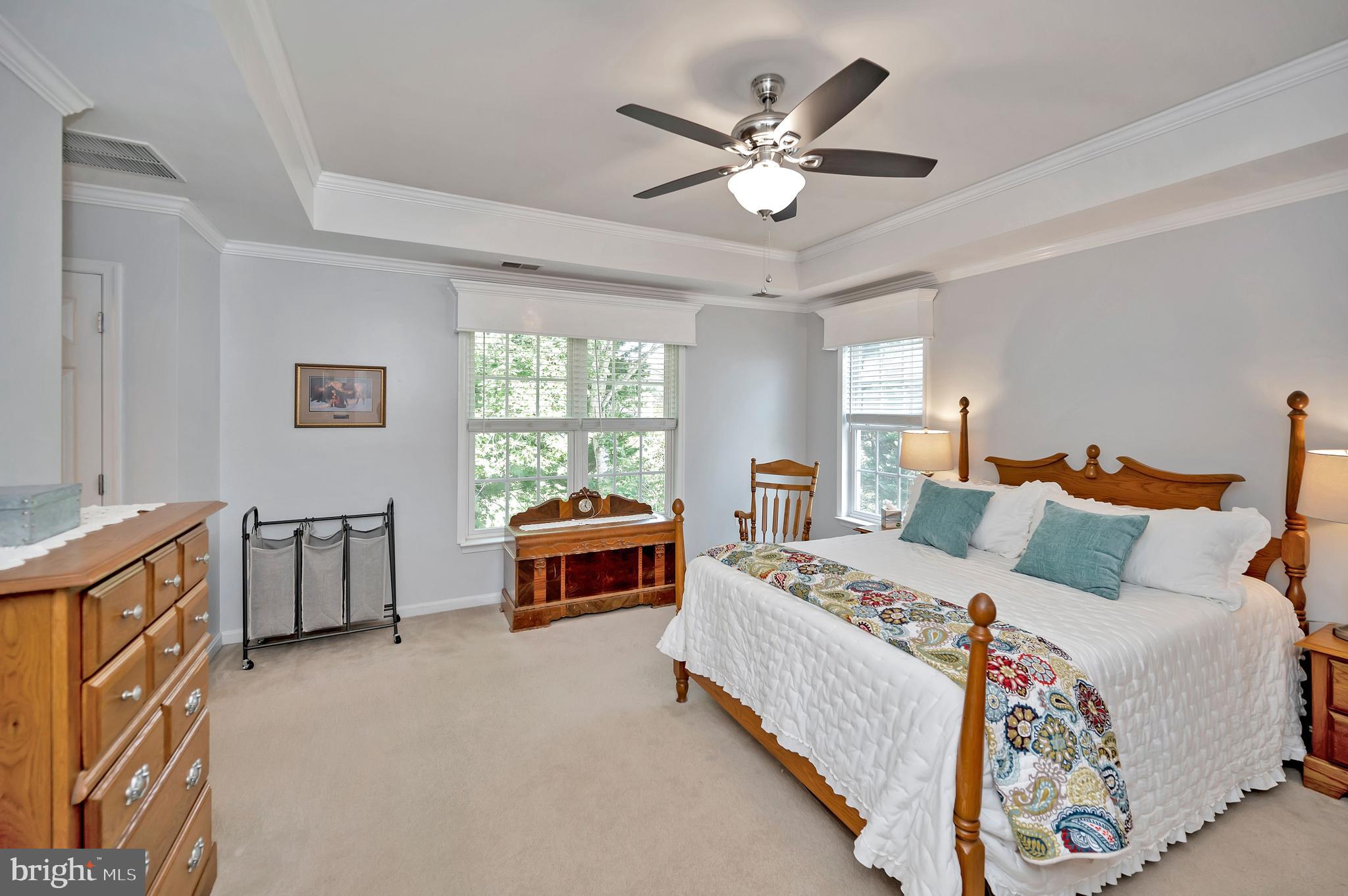 35287 Balmoral Drive Locust Grove, VA 22508 - Photo 20 of 50 Primary BDR w/ tray ceiling and crown molding
