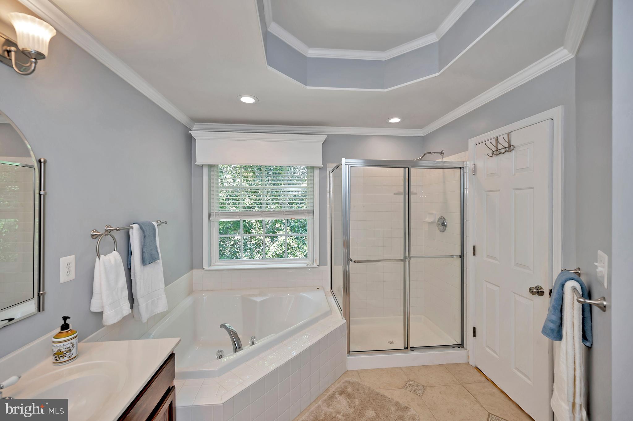 35287 Balmoral Drive Locust Grove, VA 22508 - Photo 24 of 50 Primary bath