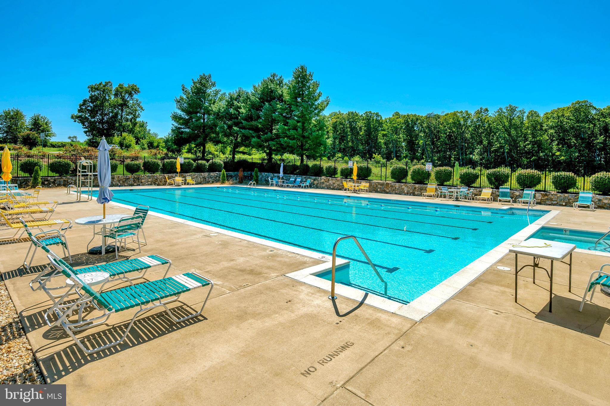 35287 Balmoral Drive Locust Grove, VA 22508 - Photo 47 of 50 Community pool