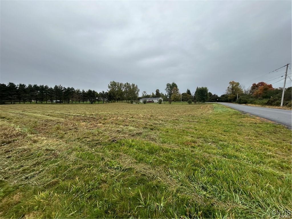 0 Plank Road Calcium, NY 13616 - Photo 6 of 11