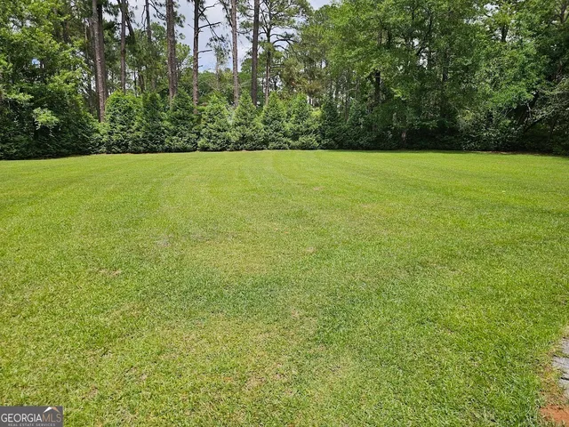a view of field with tall trees