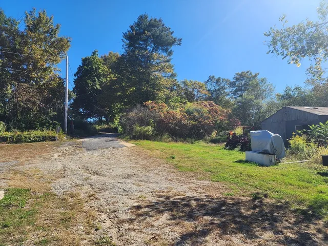 a view of a backyard with large trees