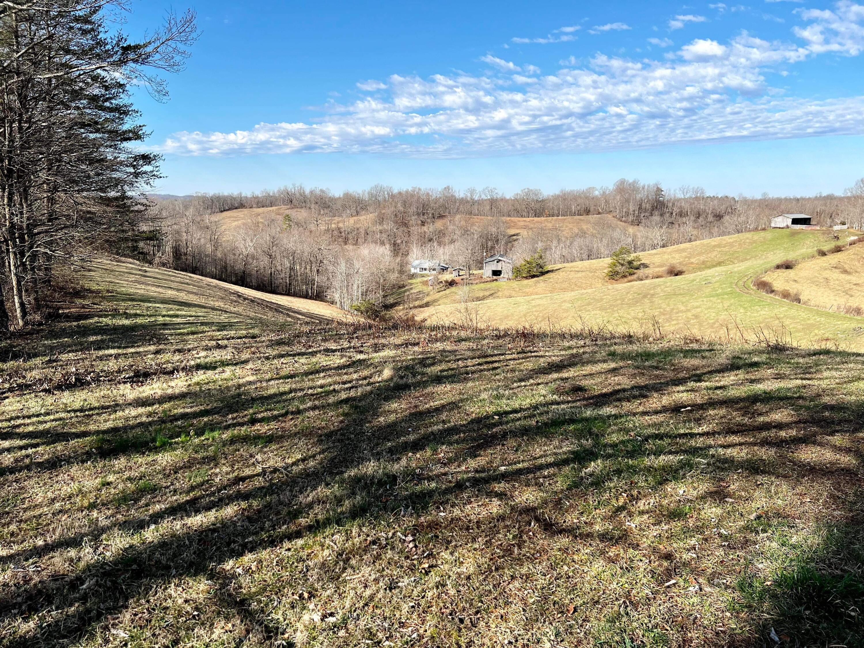 812 Stringtown Road Sandy Hook, KY 41171 - Photo 68 of 154 IMG_6167