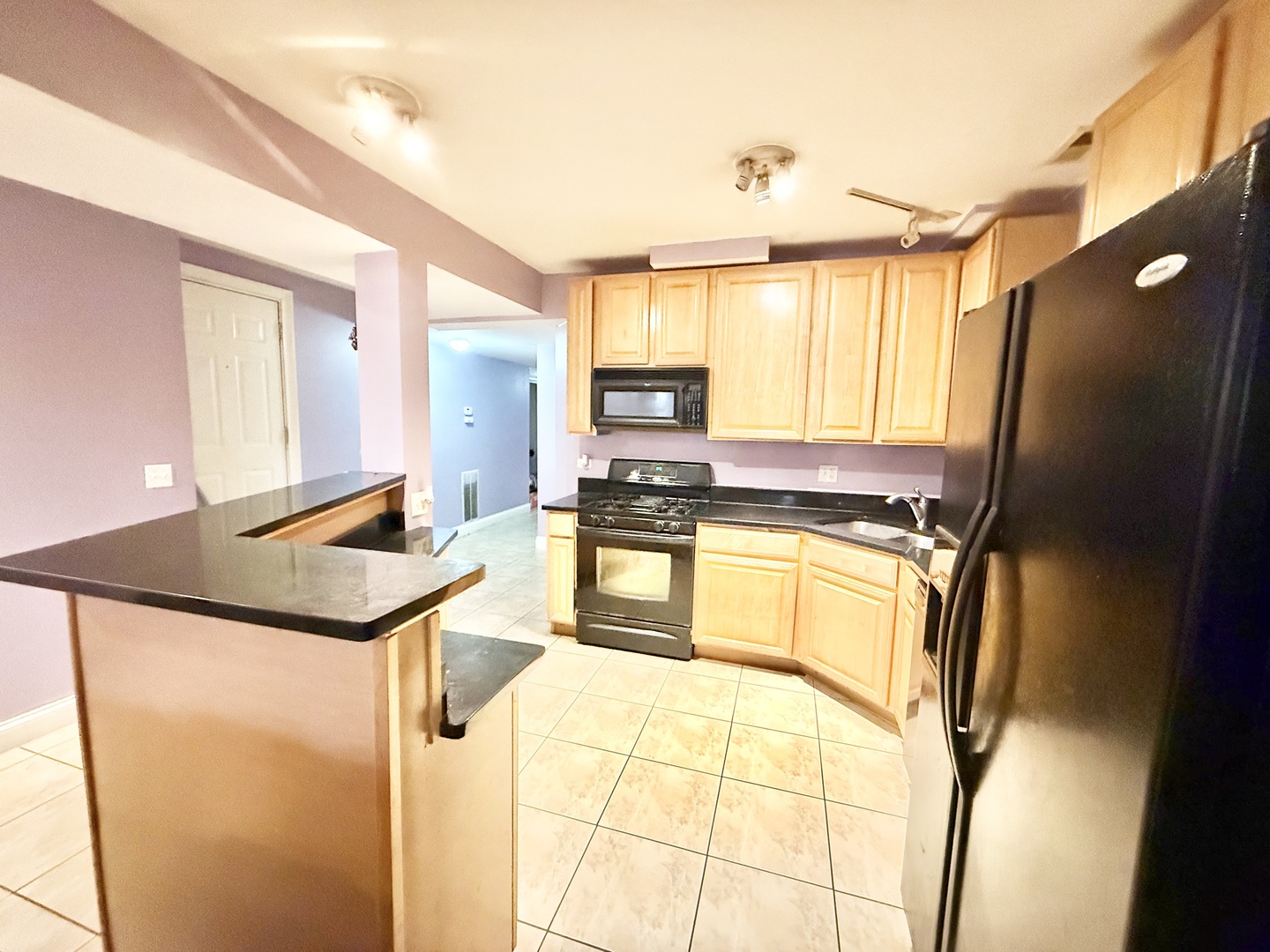 6035 South St Lawrence Avenue, Unit GS Chicago, IL 60637 - Photo 6 of 17 a kitchen with stainless steel appliances granite countertop a sink a refrigerator and a stove