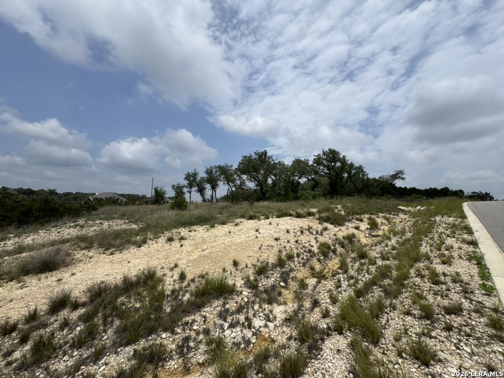 686 Butler Oaks Bulverde, TX 78163 - Photo 4 of 11