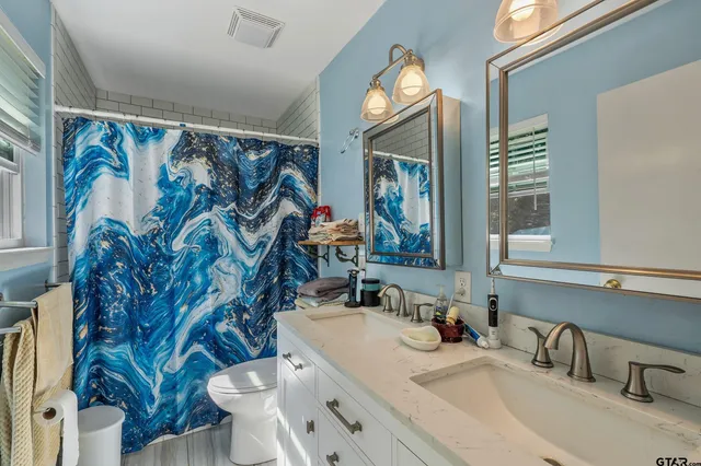a bathroom with a sink mirror vanity and toilet