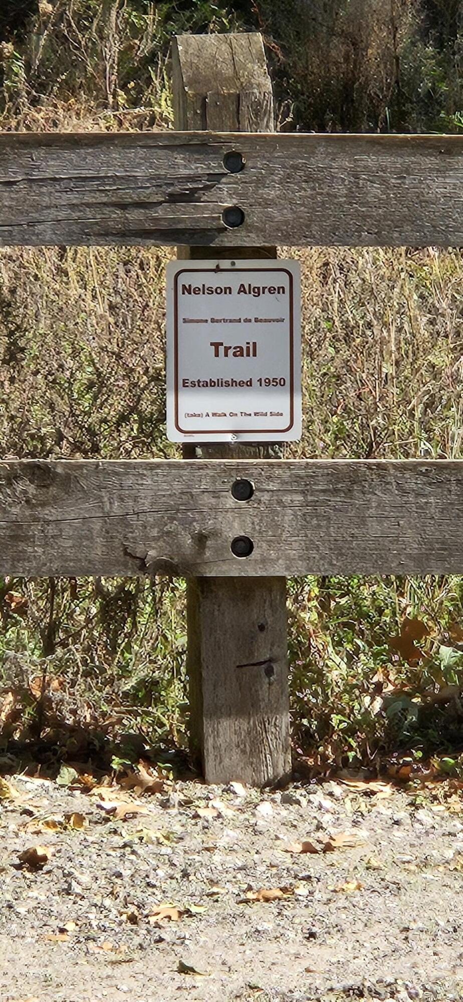 6225 Forest Avenue Gary, IN 46403 - Photo 121 of 144 924x2000