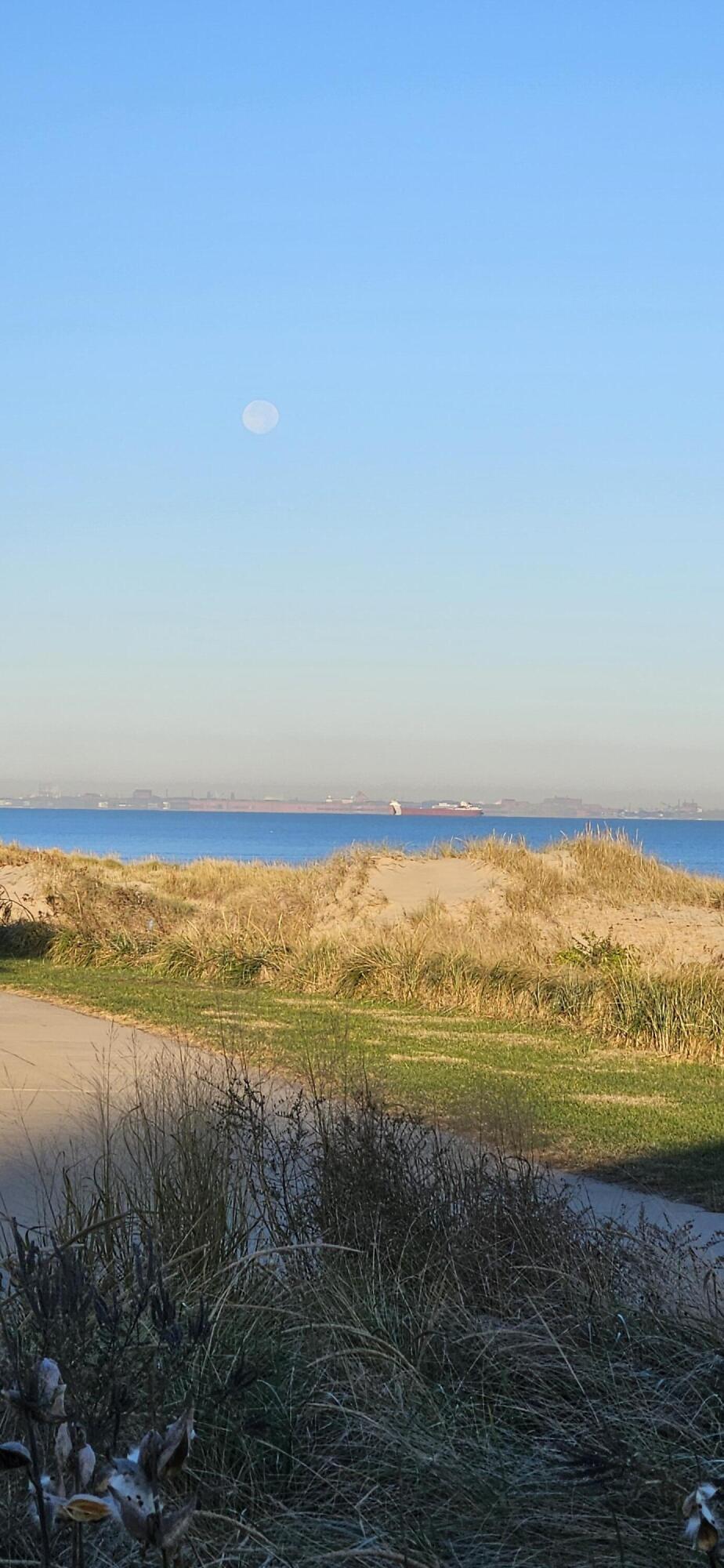 6225 Forest Avenue Gary, IN 46403 - Photo 132 of 144 924x2000