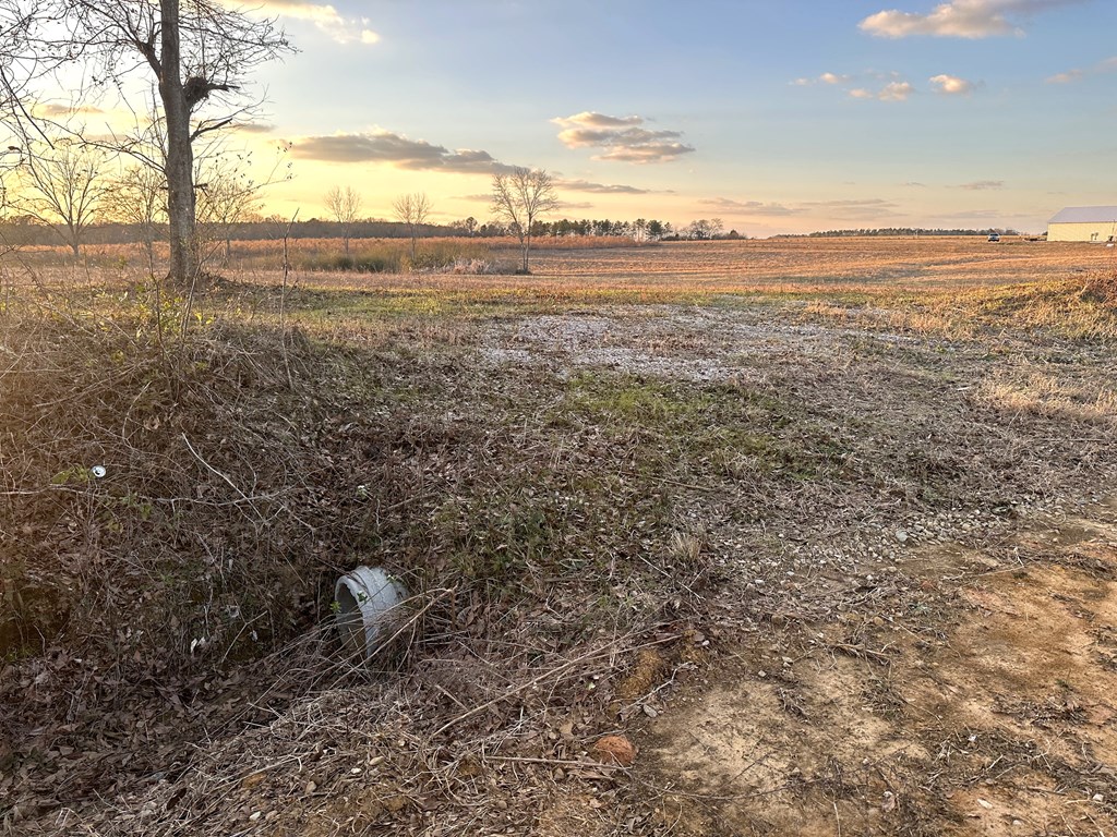 Lot 1 Culver Road Newville, AL 36353 - Photo 2 of 8 Gallery Image 2