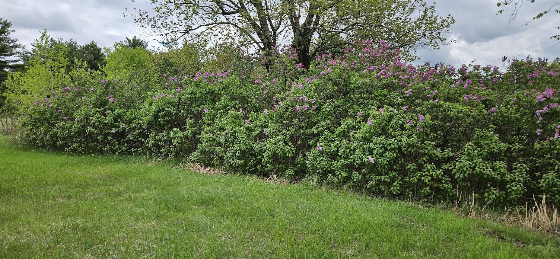 1696 Federal Road Livermore, ME 04253 - Photo 48 of 78